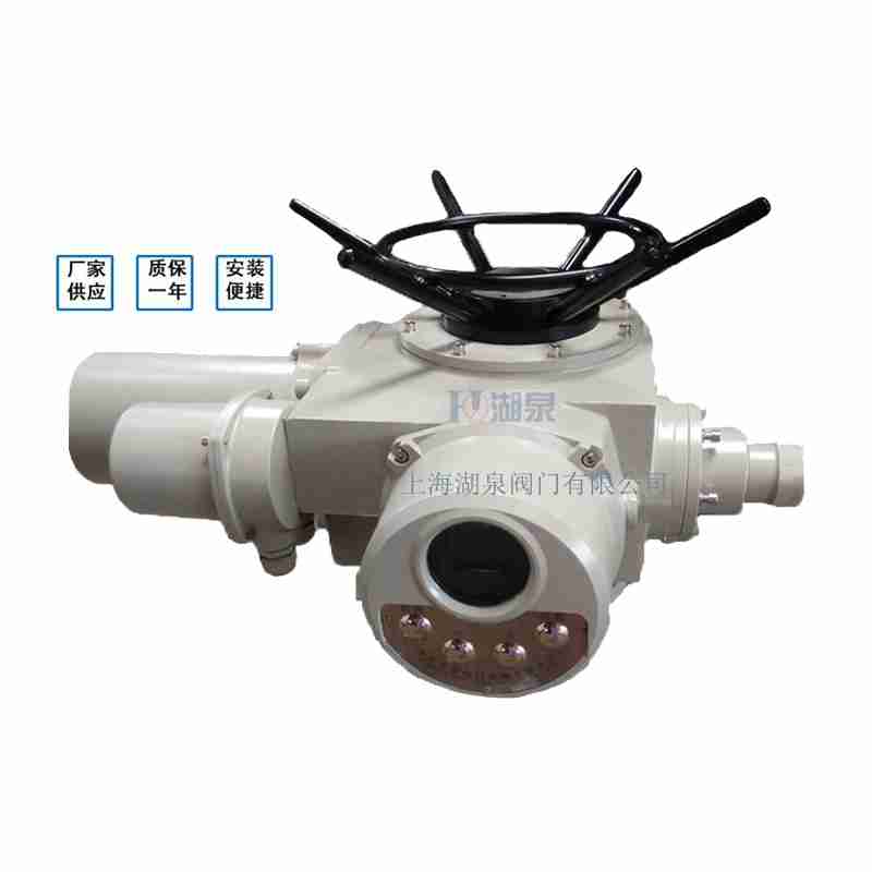 閥門電動(dòng)裝置（dzw05,10,20，30,45,60，90,12