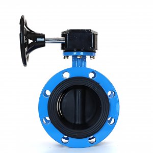 法蘭式蝸輪蝸桿蝶閥DN125，1.6Mpa橡膠密封