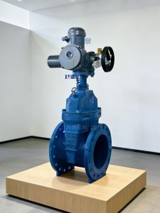 ?QT450球墨鑄鐵PN25 DN600大口徑電動閘閥